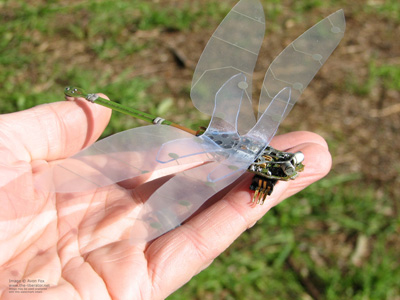 electronic dragonflies dragonfly sculpture